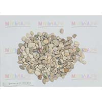 Светлая морская галька – достойное украшение участка и дома