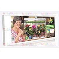 Фитолампы создадут оптимальные условия растений в доме