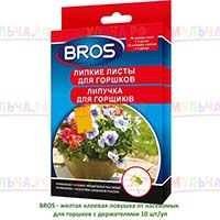 Защита комнатных растений от вредителей без использования инсектицидов