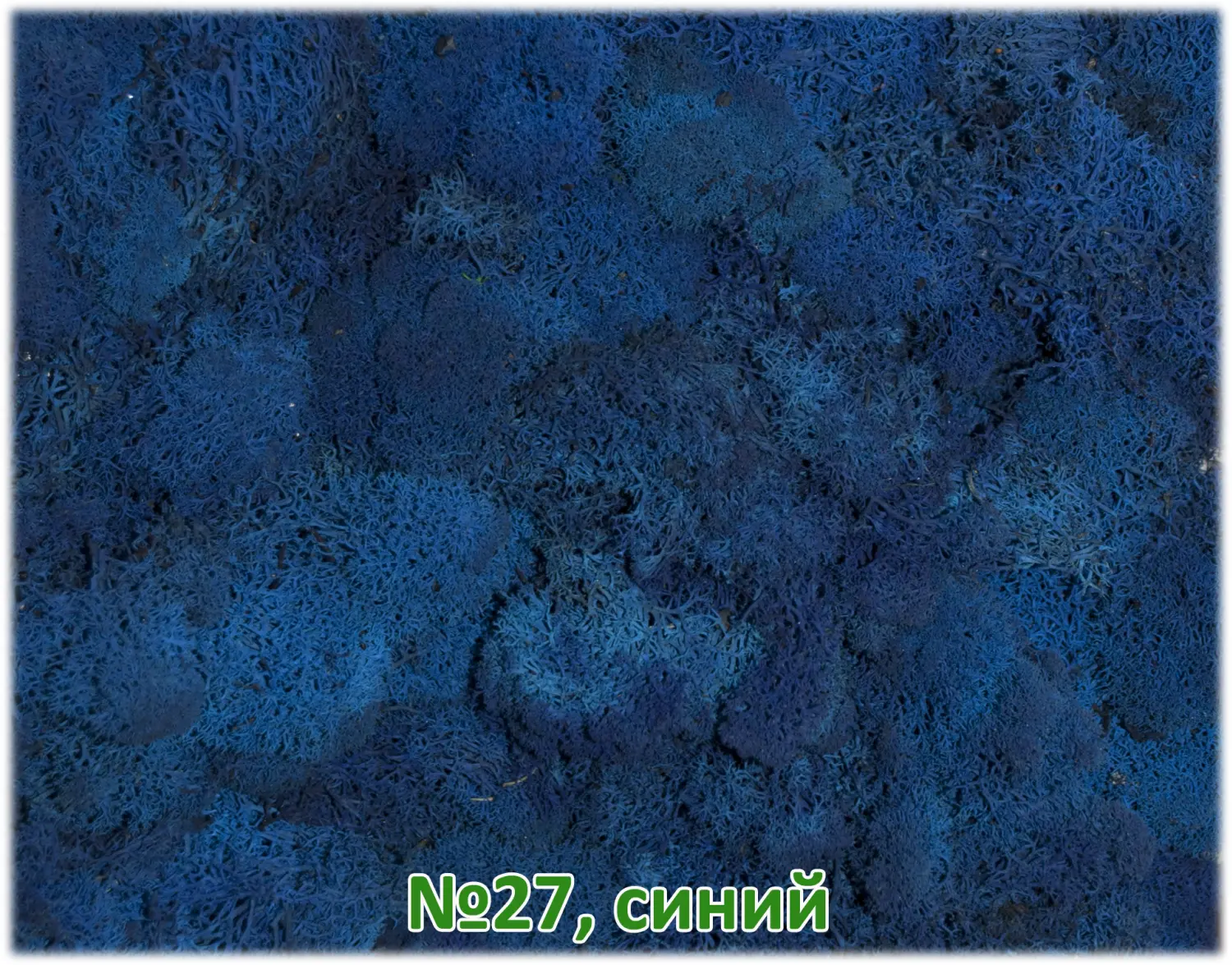 Мох стабилизированный №1 зеленая ель, 30*40 см, пак