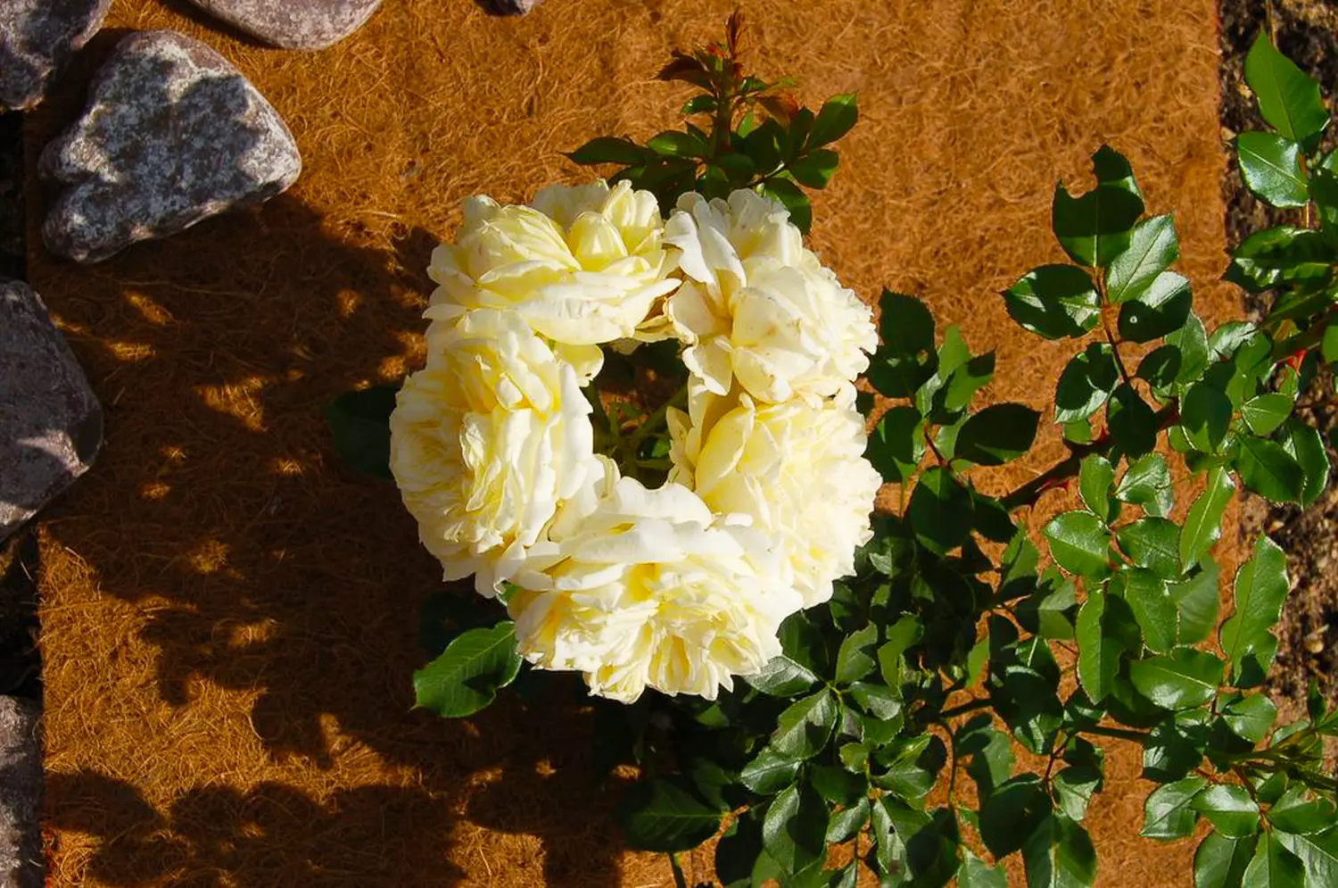 Nekura Укрытие кокосовое "Мульчаграм", 1  x  5 м, рул