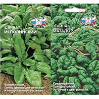 Шпинат, полезный и питательный