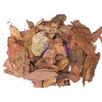 Как защитить декоративные насаждения от сорняков