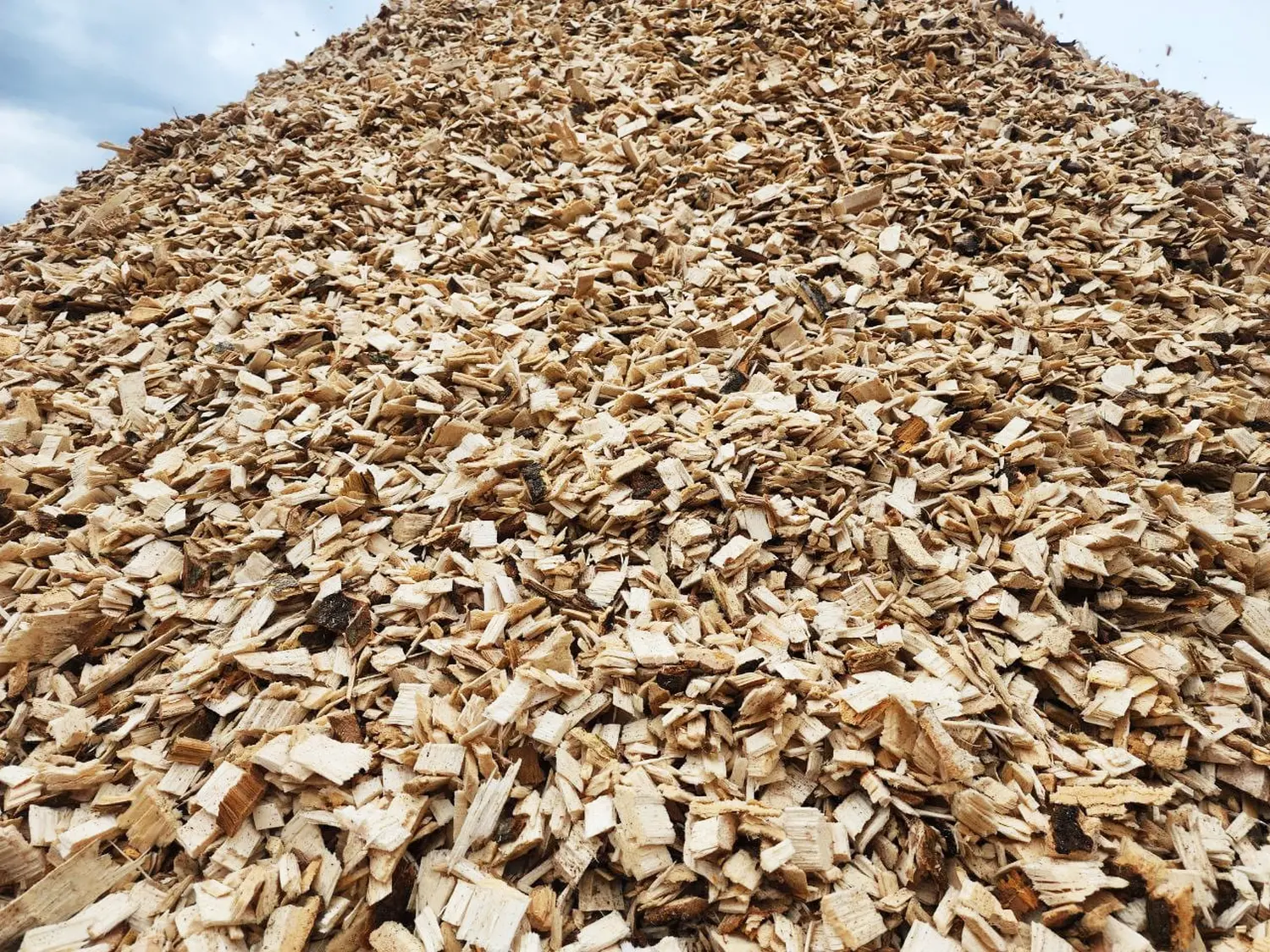 Щепа натуральная, хвойных пород, 60 л