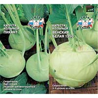 Капуста кольраби, неприхотливая и очень полезная