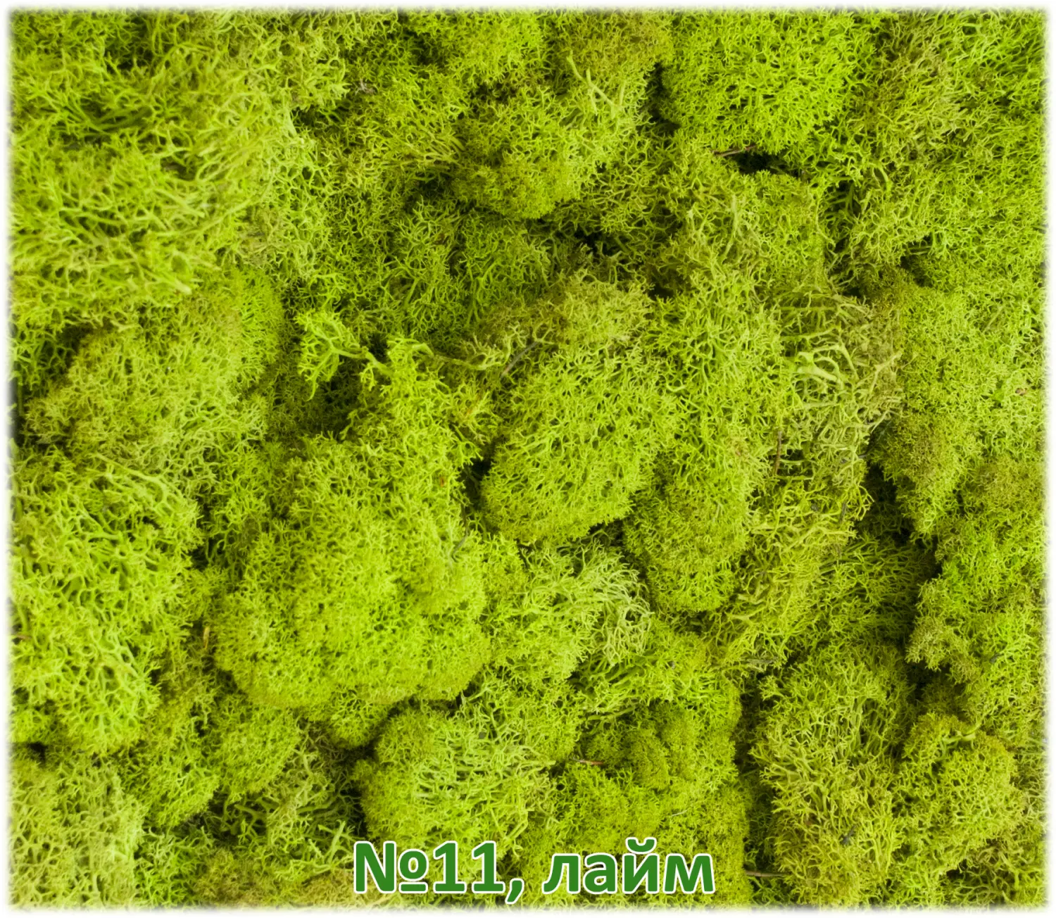Мох стабилизированный №1 зеленая ель, 30*40 см, пак