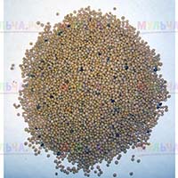 Обогатить почву азотом, калием и фосфором поможет горчица