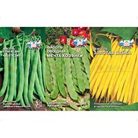 Фасоль - одно из самых древних культурных растений