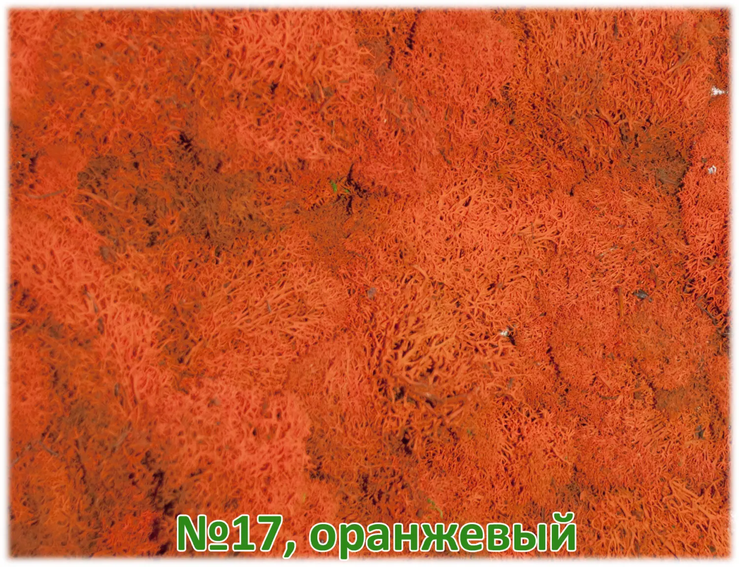 Мох стабилизированный №1 зеленая ель, 30*40 см, пак