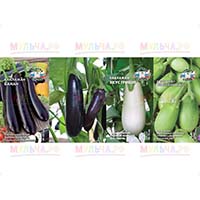 Хотите вырастить баклажаны? Обратите внимание на семена сортов представленные в нашем магазине