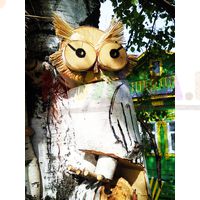 Мудрая сова может поселиться на любом дереве на вашем участке