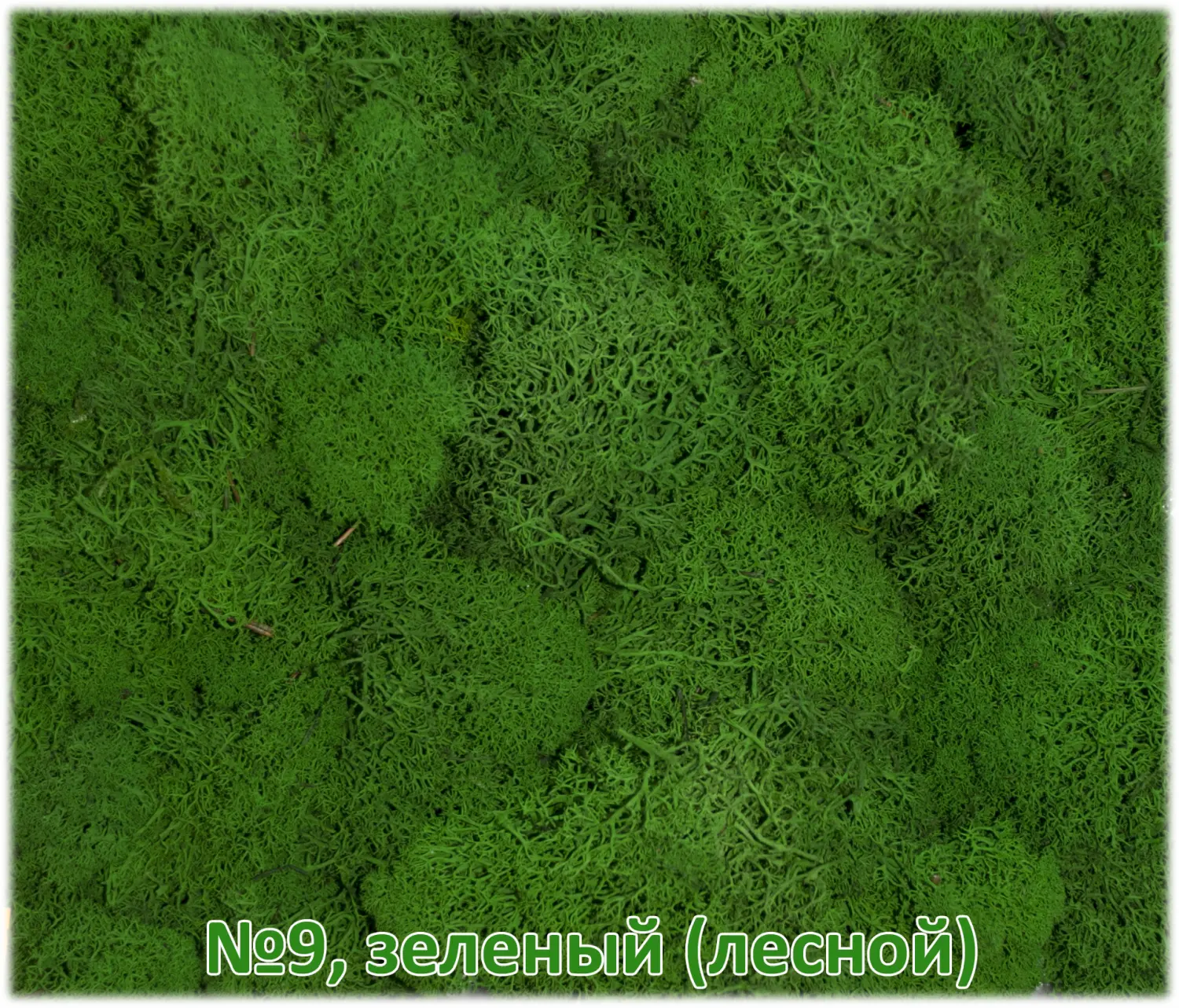 Мох стабилизированный №1 зеленая ель, 30*40 см, пак