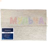 Дорнит 250 укрепит дорожки и дренажные системы