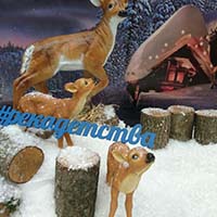 Мульча РФ и фонд Река Детства на ярмарке Душевный Bazar