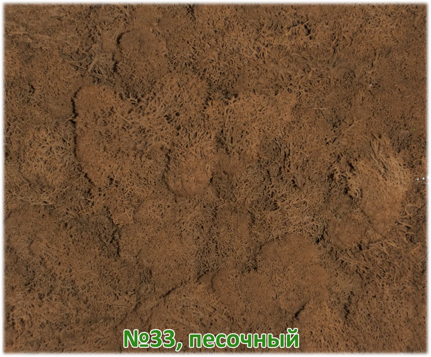 Мох стабилизированный №1 зеленая ель, 30*40 см, пак