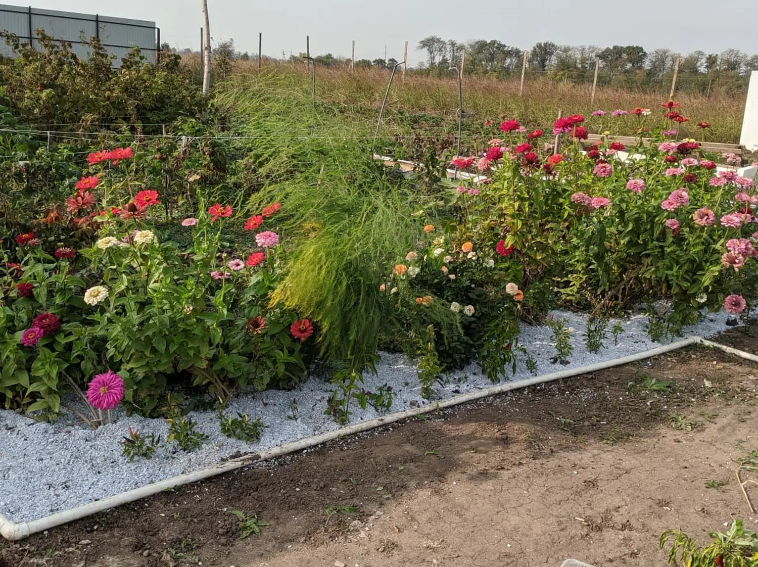 Мульча целлюлозная сырая, 30 л, 16 кг