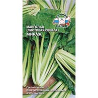 Мангольд - целебная листовая свекла