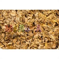 Шелуха кедровой шишки – тунга