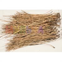 Сосновые иголки – незаменимый материал для садоводов и цветоводов