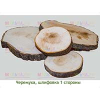 Шлифованные спилы черемухи для ландшафтного дизайна и украшения интерьера