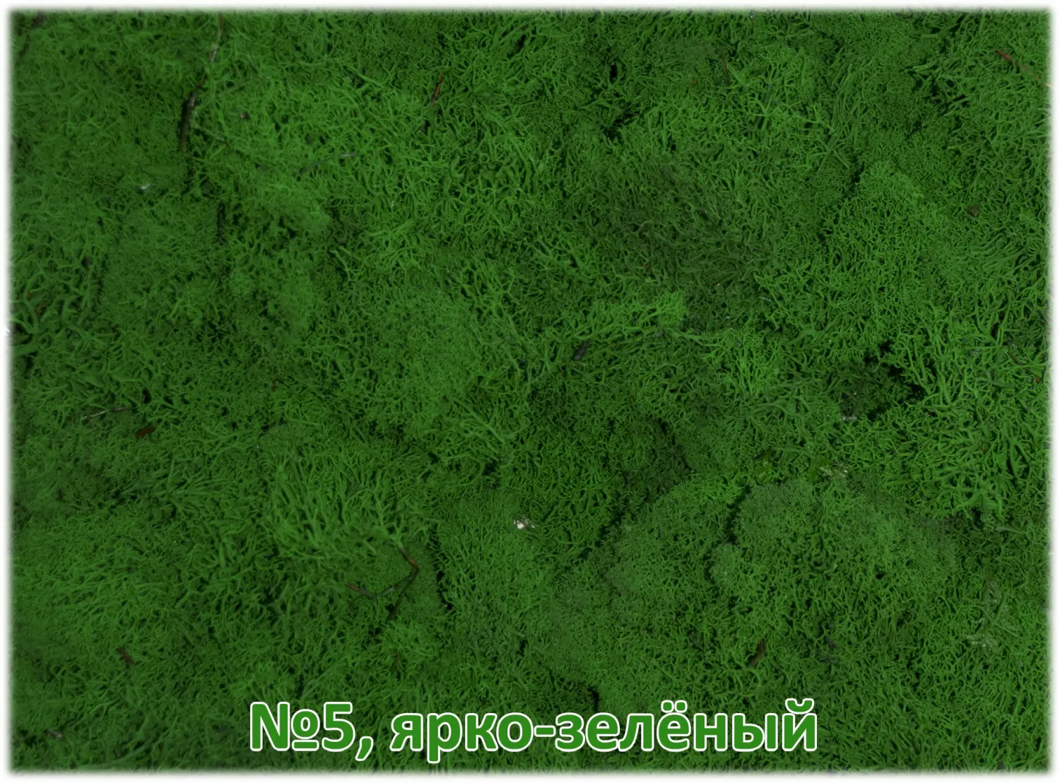 Мох стабилизированный №1 зеленая ель, 30*40 см, пак