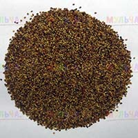 Обогатить почву азотом поможет сидерат красный клевер