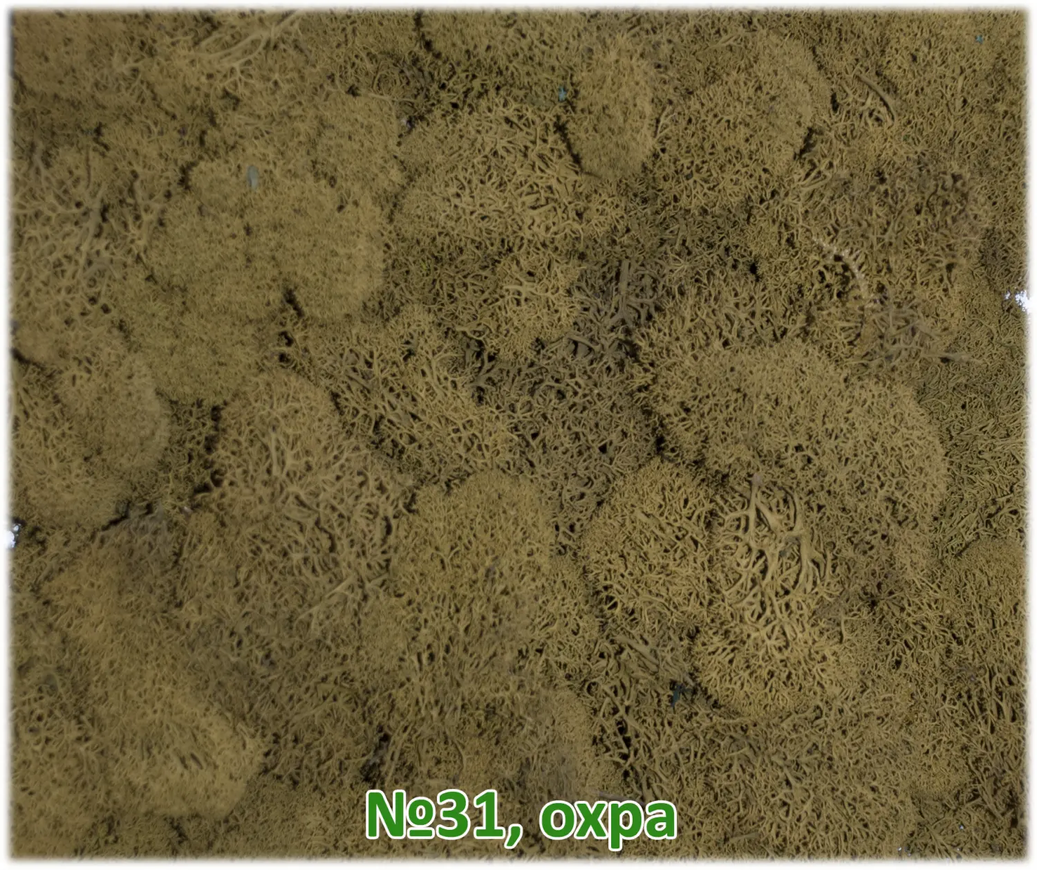 Мох стабилизированный №1 зеленая ель, 30*40 см, пак