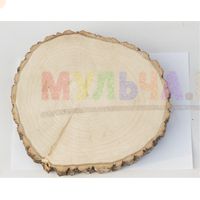 Деревянные спилы для создания декоративных панно и предметов интерьера