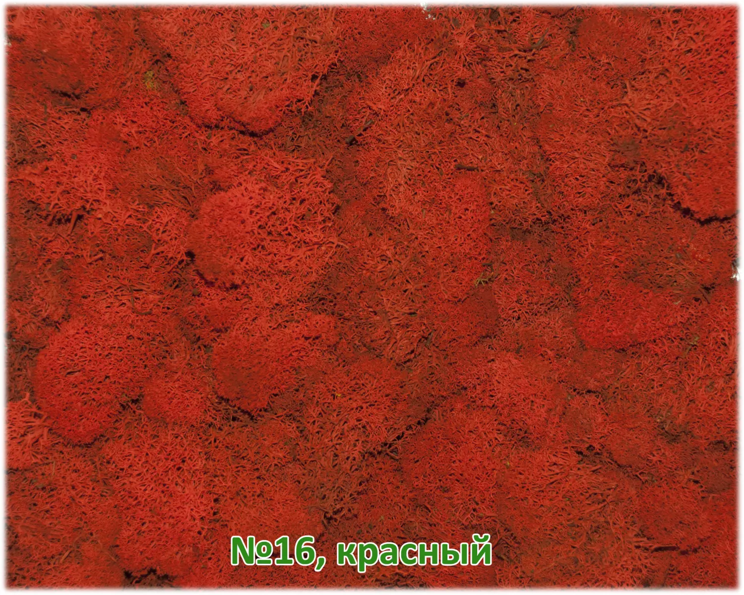 Мох стабилизированный №1 зеленая ель, 30*40 см, пак