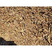 Нефракционная кора сосны - все фракции одном мешке