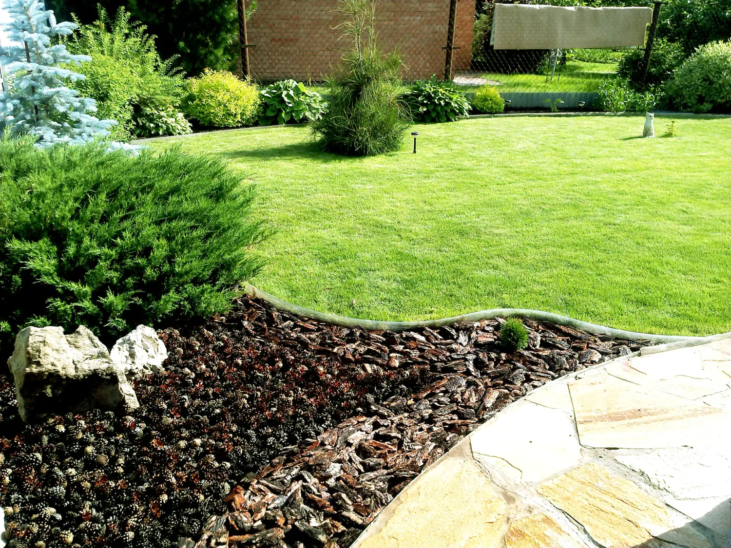 Шишки сосновые мелкие (600-800 шт), 60 л