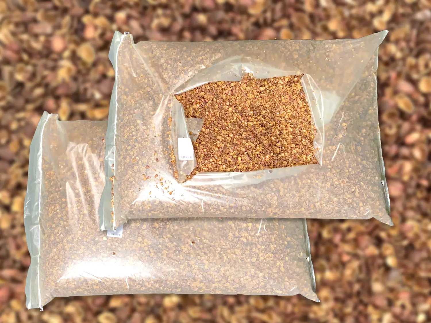 Скорлупа кедрового ореха, 60 л