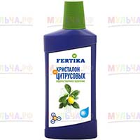 Цитрусовые растения требуют особой заботы и специальных удобрений