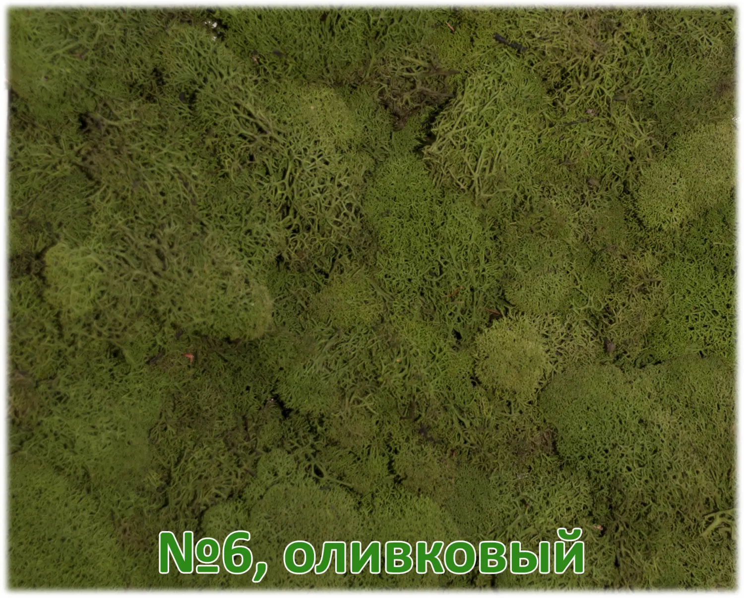 Мох стабилизированный №1 зеленая ель, 30*40 см, пак