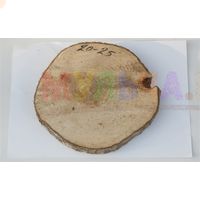 Нешлифованные спилы осины для садового декора