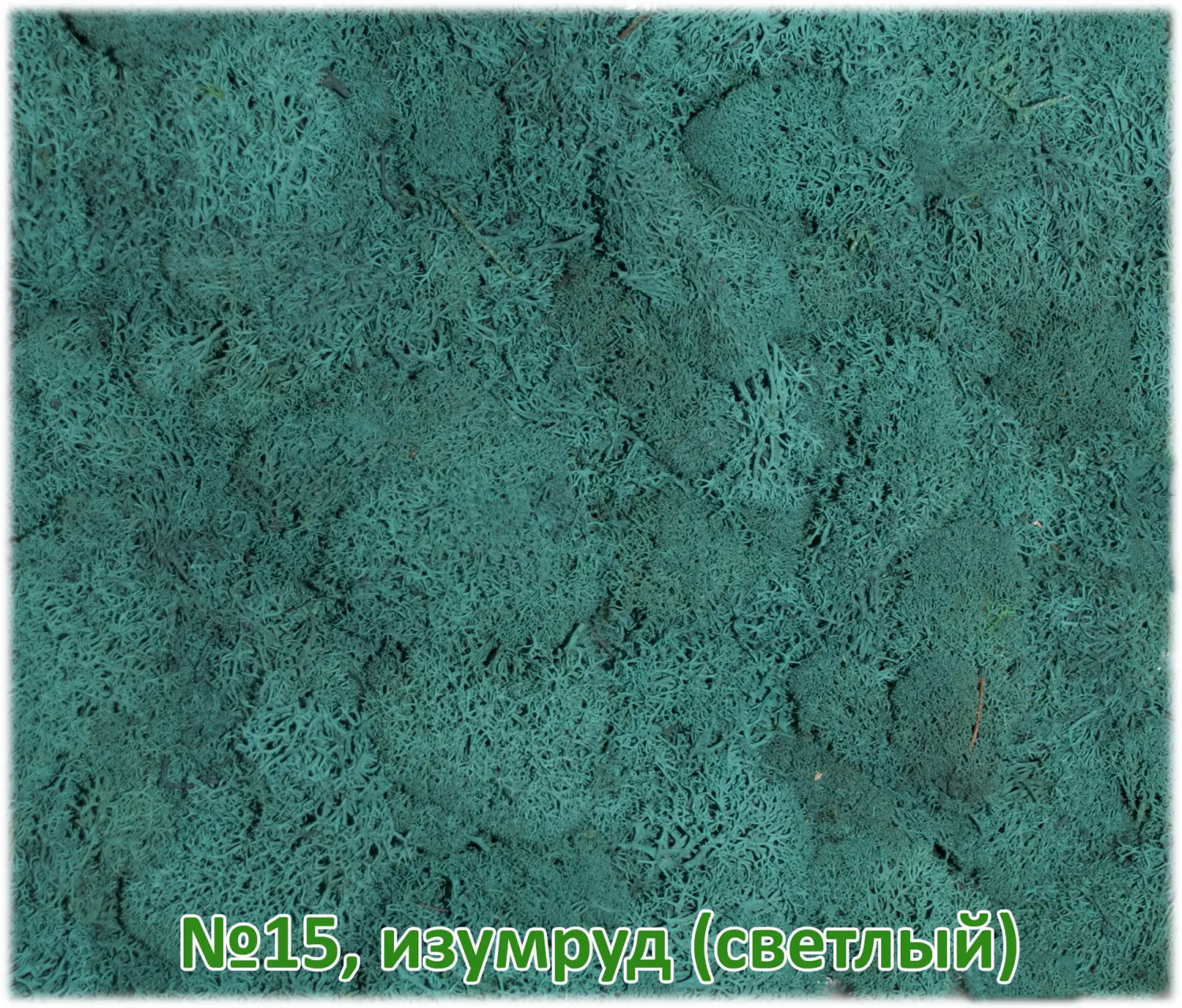 Мох стабилизированный №1 зеленая ель, 30*40 см, пак