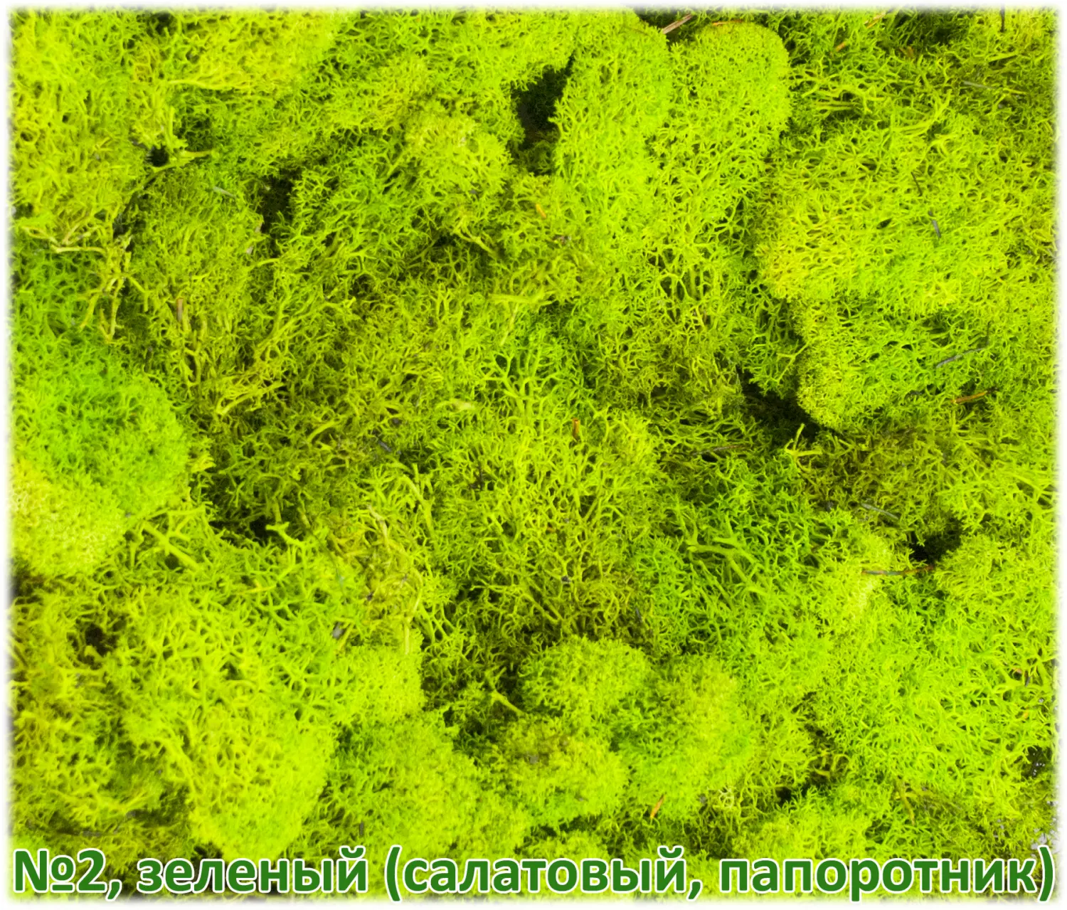 Мох стабилизированный №1 зеленая ель, 30*40 см, пак