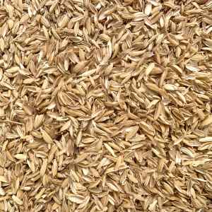 Скорлупа, шелуха, лузга, костра