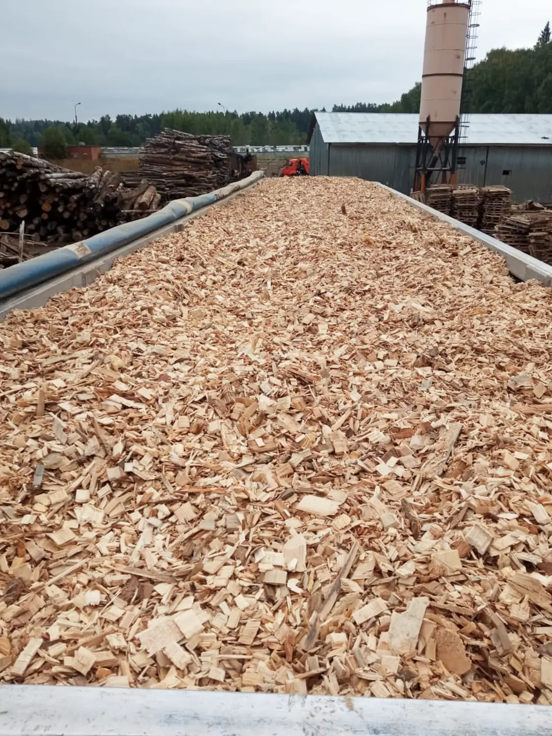 Щепа натуральная, хвойных пород, 60 л