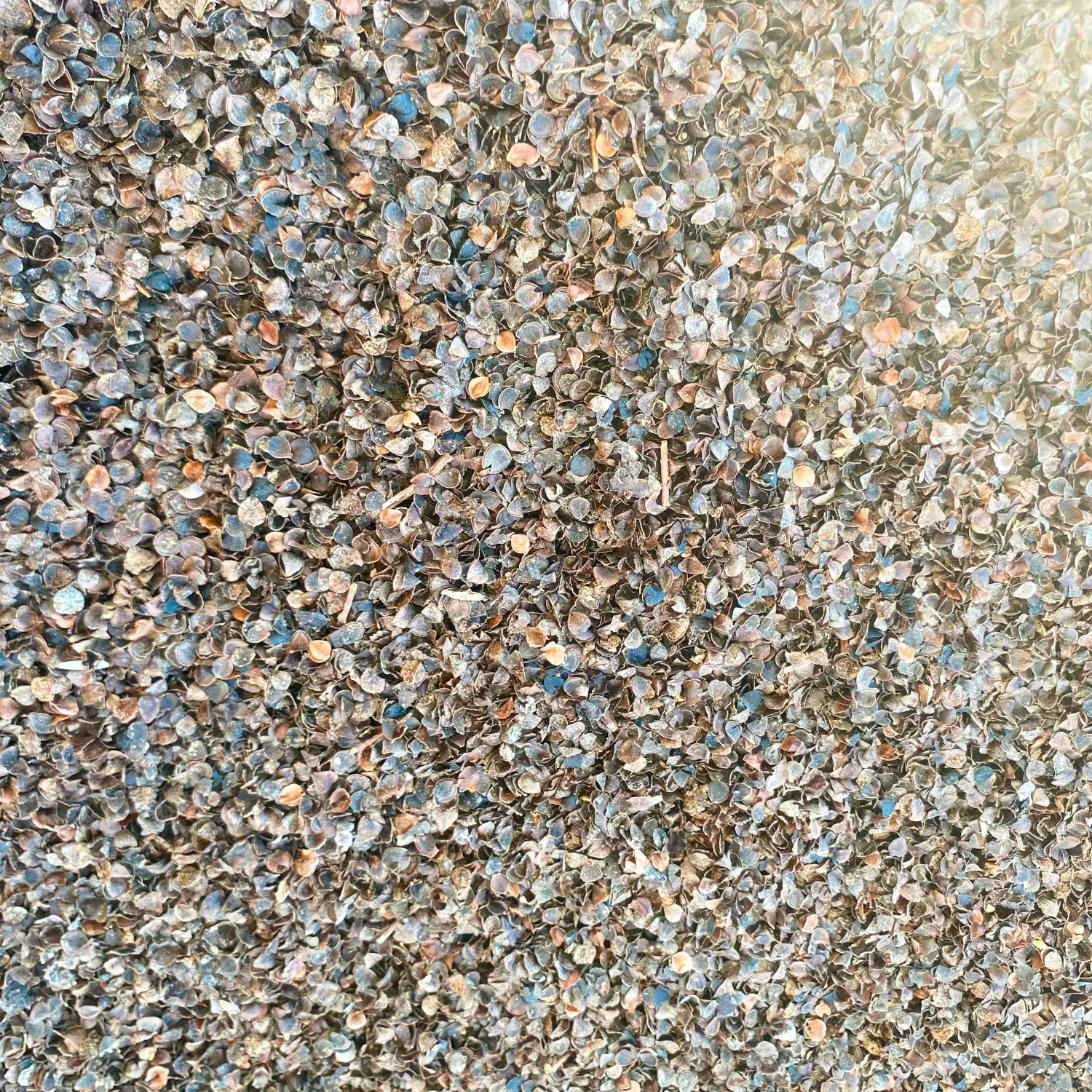 Лузга гречихи, 60 л