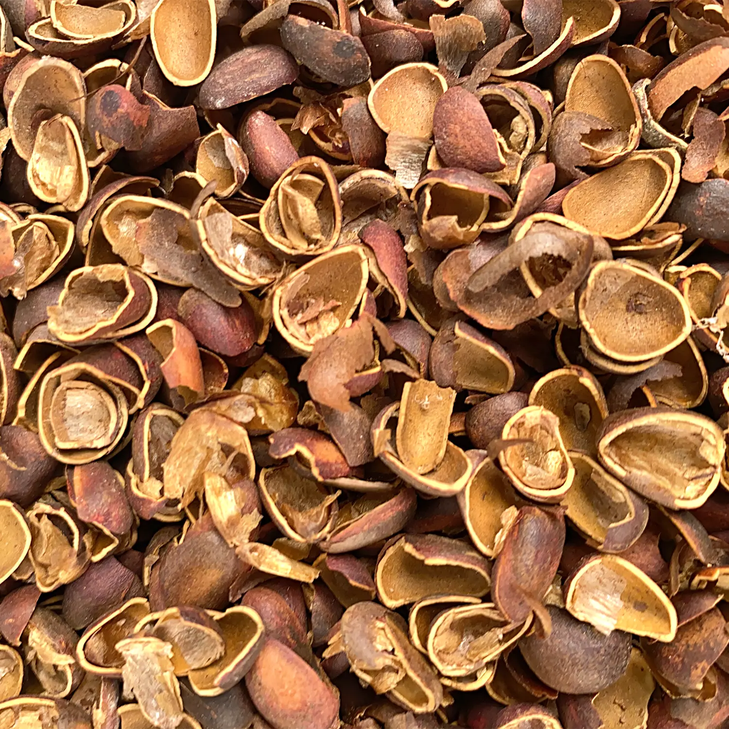 Скорлупа кедрового ореха, 60 л