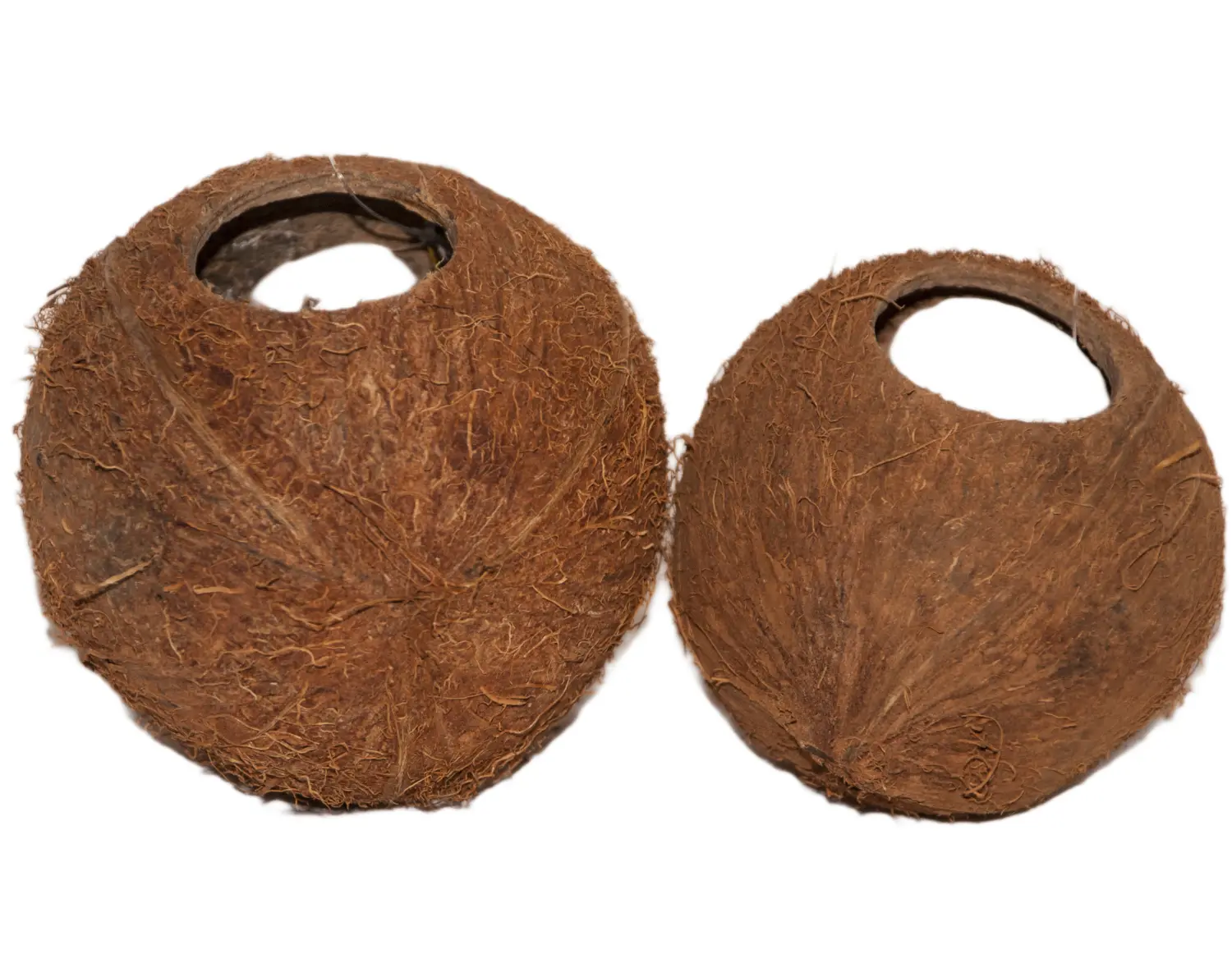 Кокос целый малый с отверстием, шт