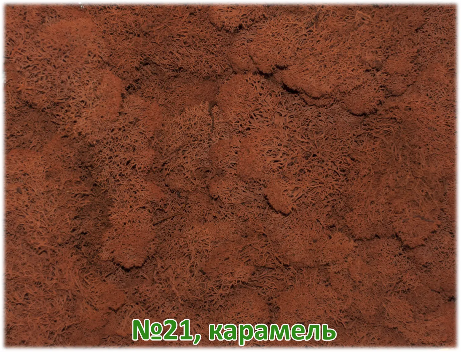 Мох стабилизированный №1 зеленая ель, 30*40 см, пак