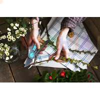 Плоскостной секатор для аккуратной подрезки деревьев