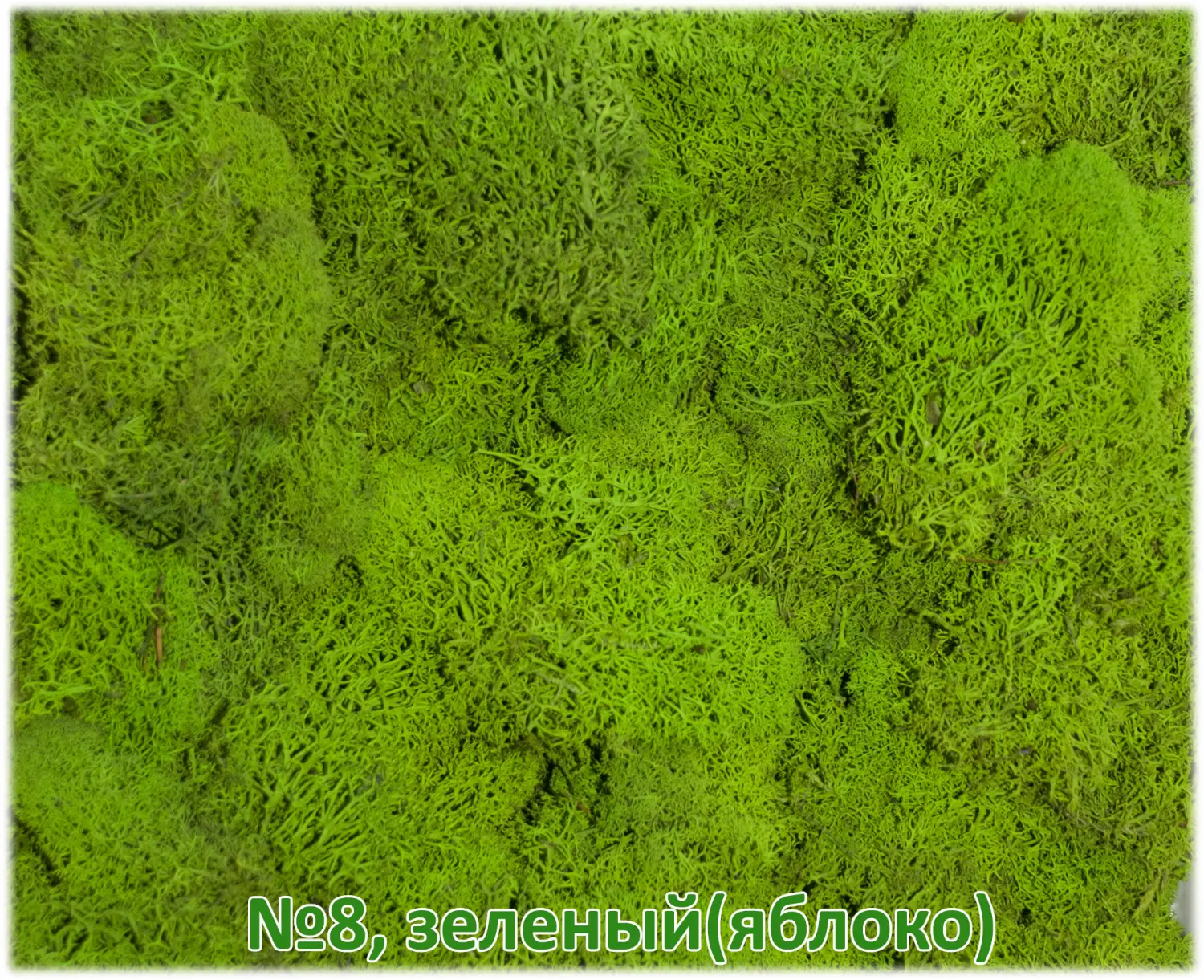 Мох стабилизированный №1 зеленая ель, 30*40 см, пак