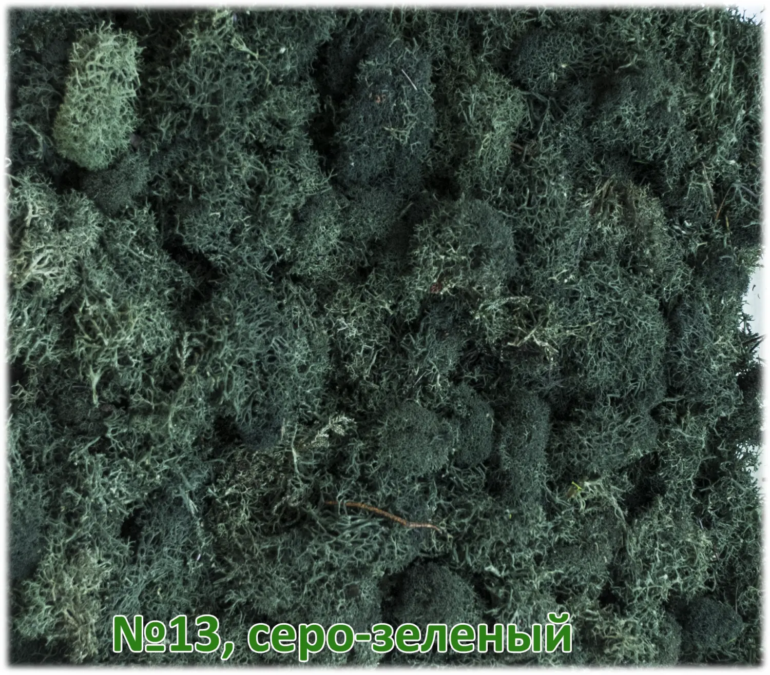 Мох стабилизированный №1 зеленая ель, 30*40 см, пак