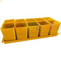 Набор горшков на поддоне позволит удобно организовать выращивание рассады