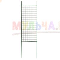 Вьющиеся растения украсят загородный дом и участок