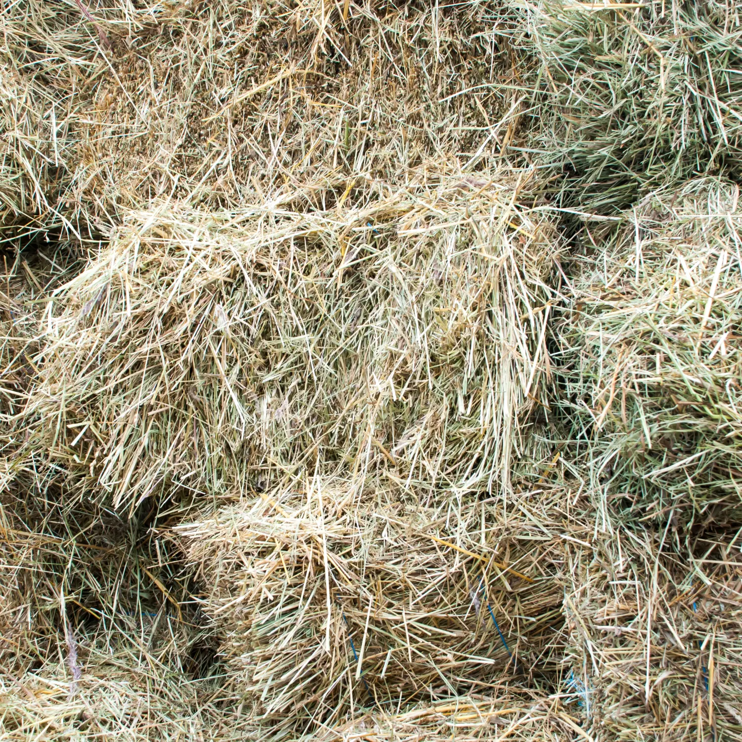 Сено луговое, тюк