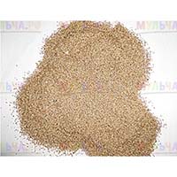 Полевица Побегоносная - идеальная газонная трава